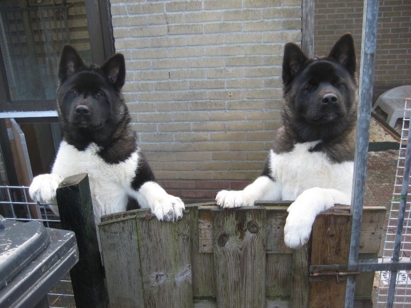 Loewy & Charlee